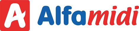 Franchise Alfamidi