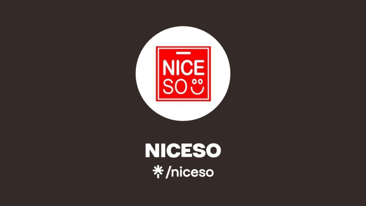 Konsep Bisnis Niceso