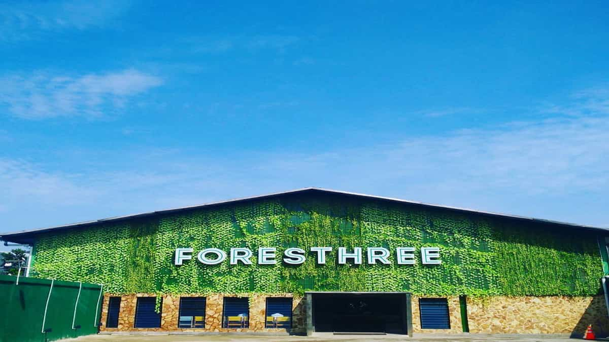 Perkembangan Franchise Foresthree